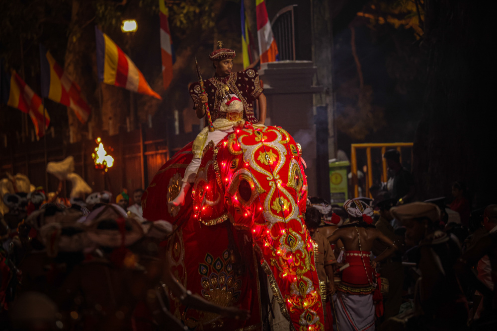 Sri Lanka Kandy Esala Perahera 221