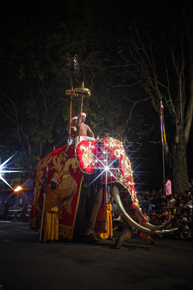 Sri Lanka Kandy Esala Perahera 78