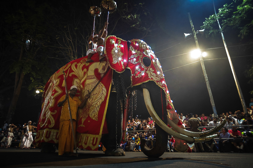 Sri Lanka Kandy Esala Perahera 83