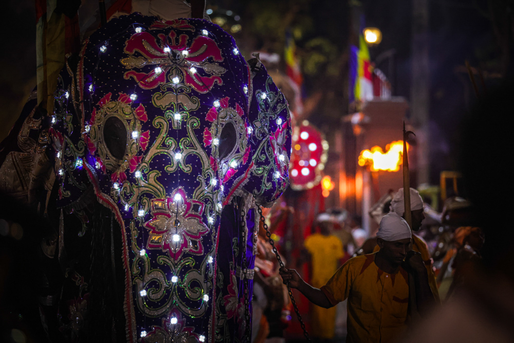 Sri Lanka Kandy Esala Perahera 91