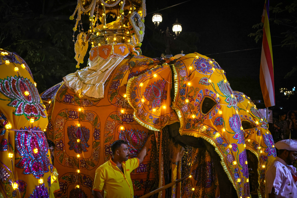 Sri Lanka Kandy Perahera 213