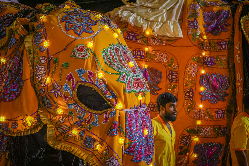 Sri Lanka Kandy Perahera 217
