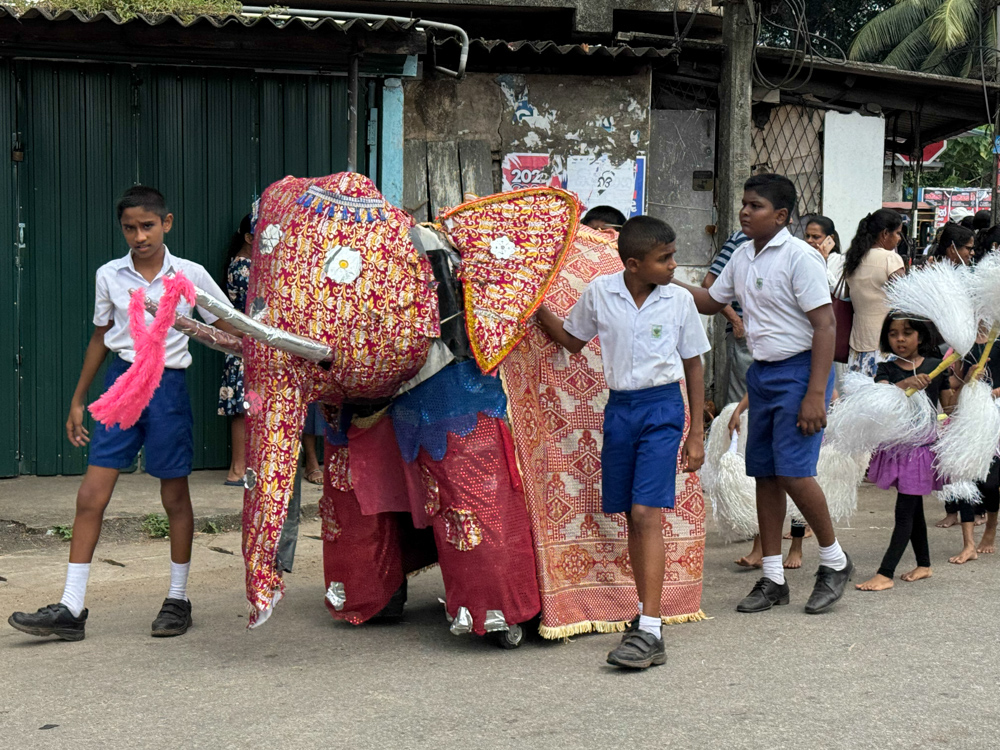 Sri Lanka Kandy Perahera 218