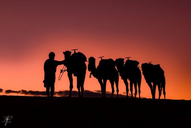 Morocco Small Group Tour