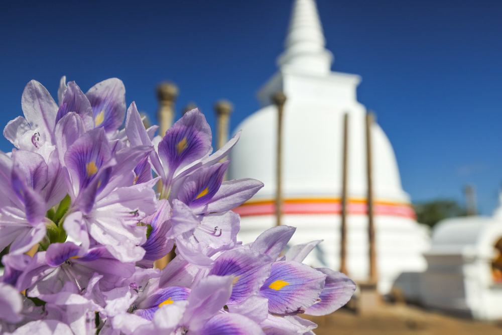 Sri Lanka Anuradhapura Mihintale 5