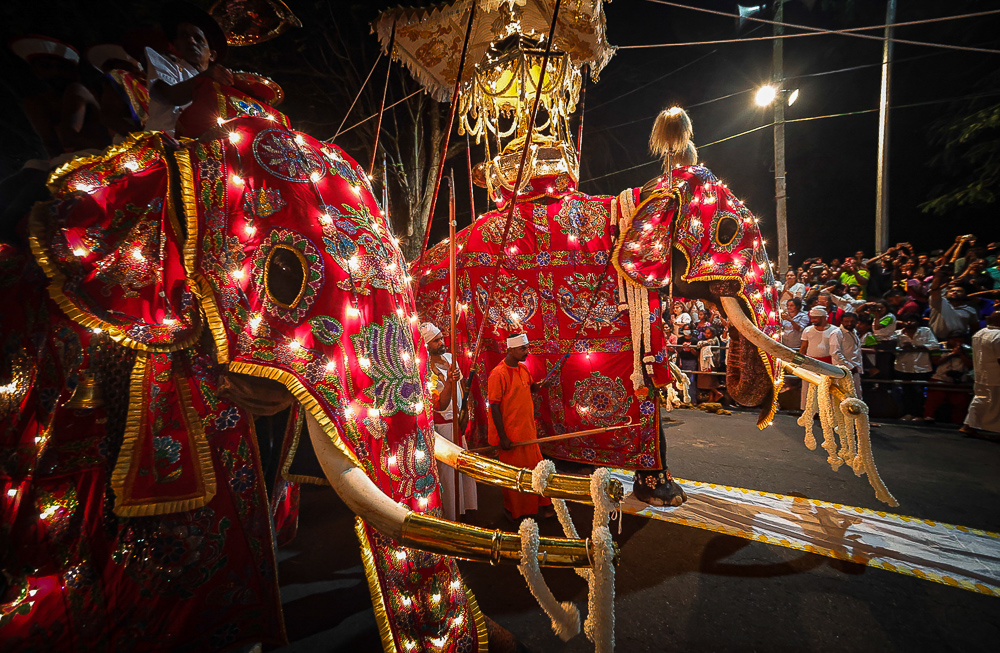 Sri Lanka Kandy Esala Perahera 150