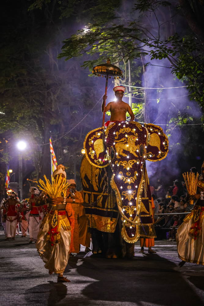 Sri Lanka Kandy Esala Perahera 48
