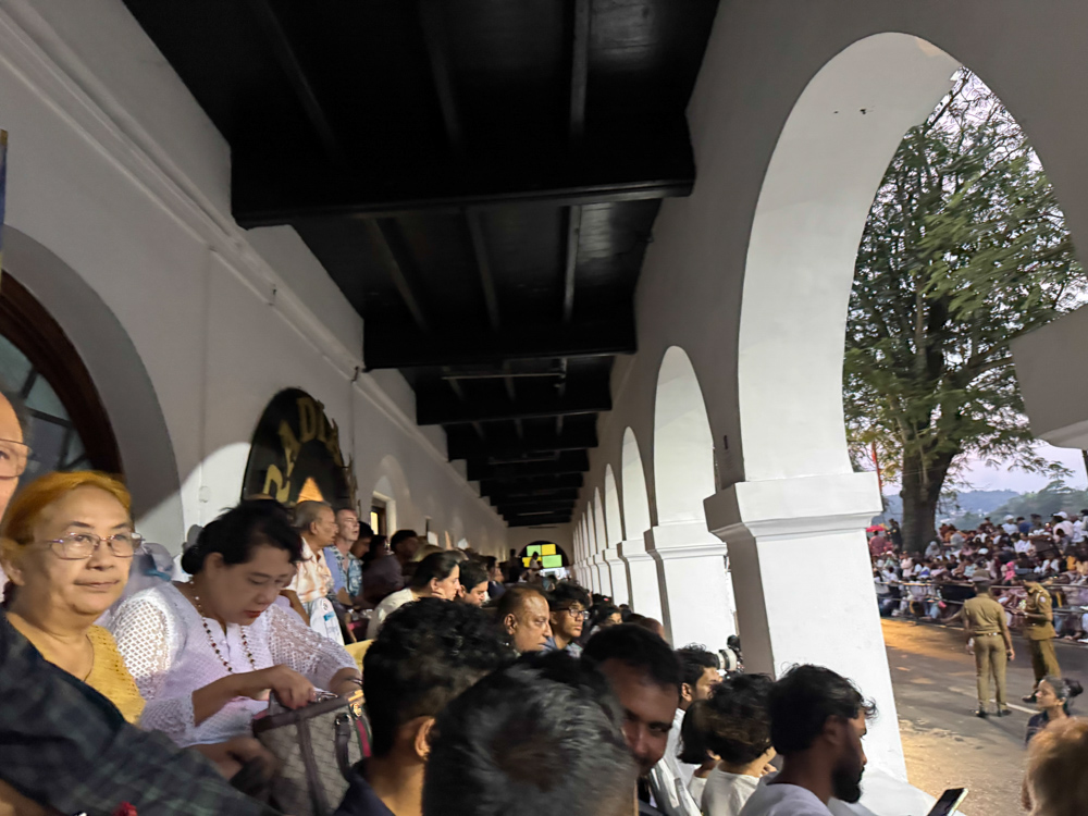 Sri Lanka Kandy Perahera Ticket 1