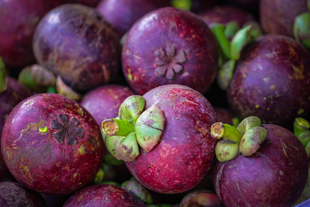 Sri Lanka Negombo Boat Tour 9