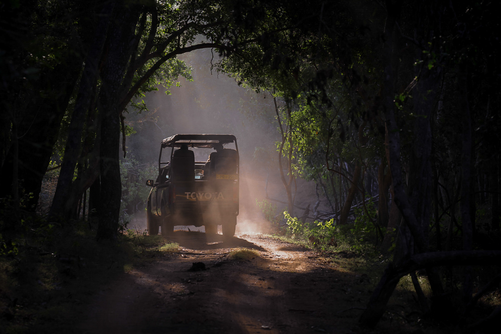 Sri Lanka Wilpattu Safari 12